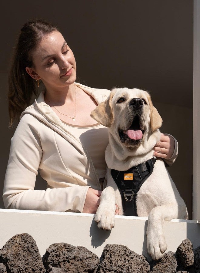 DF No Pull Martingale Dog Harness, Easy Walking & Escape Proof, Reflective & Adjustable Fit, No Twist Front Clip Harness with Handle and Zippered Pocket, Black, 3/4", Chest 17"-22" - Image 5